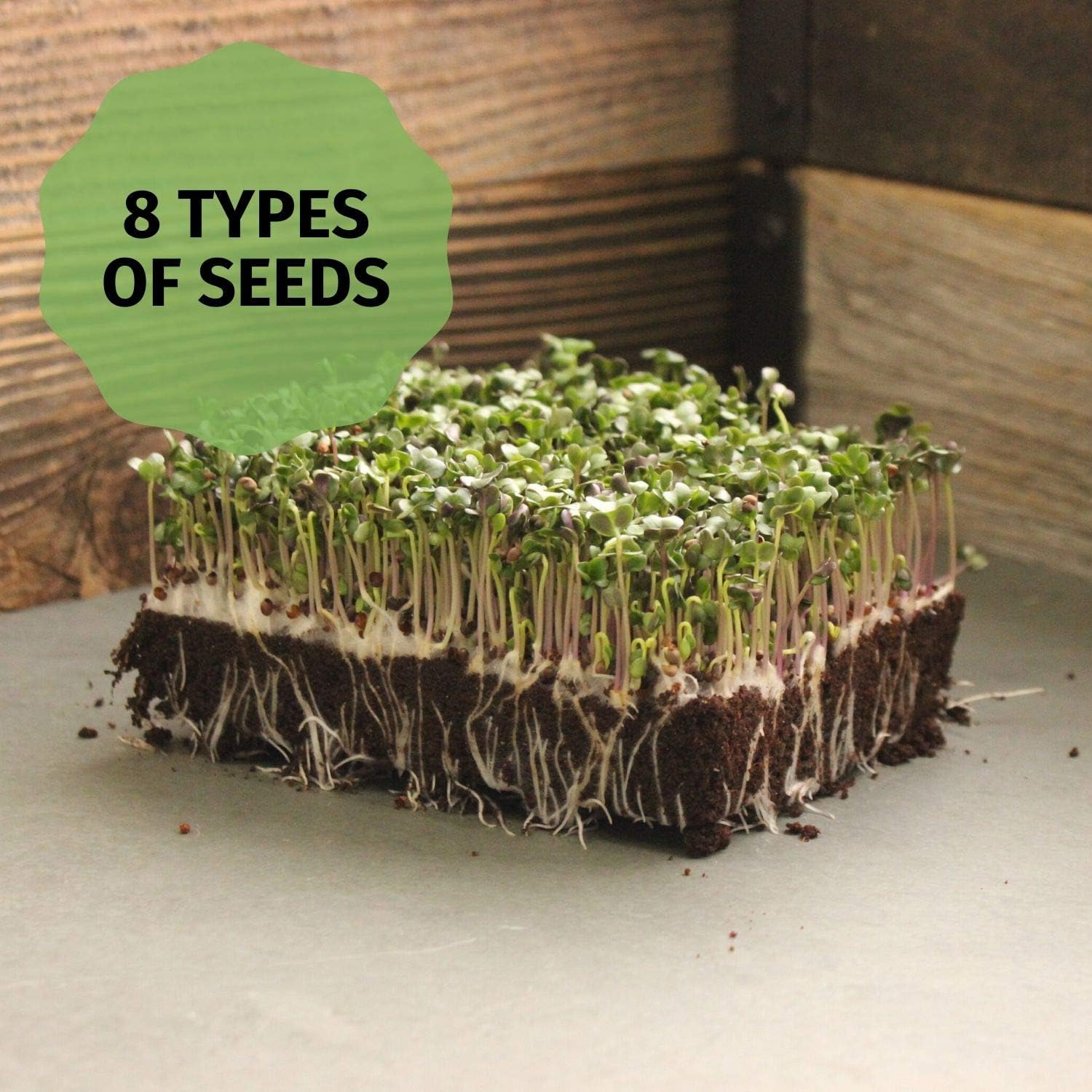 Handy Pantry Hydroponic Sectional Microgreens Growing Kit - Grow | Micro Greens & Herbs Indoor Gardening: All Supplies