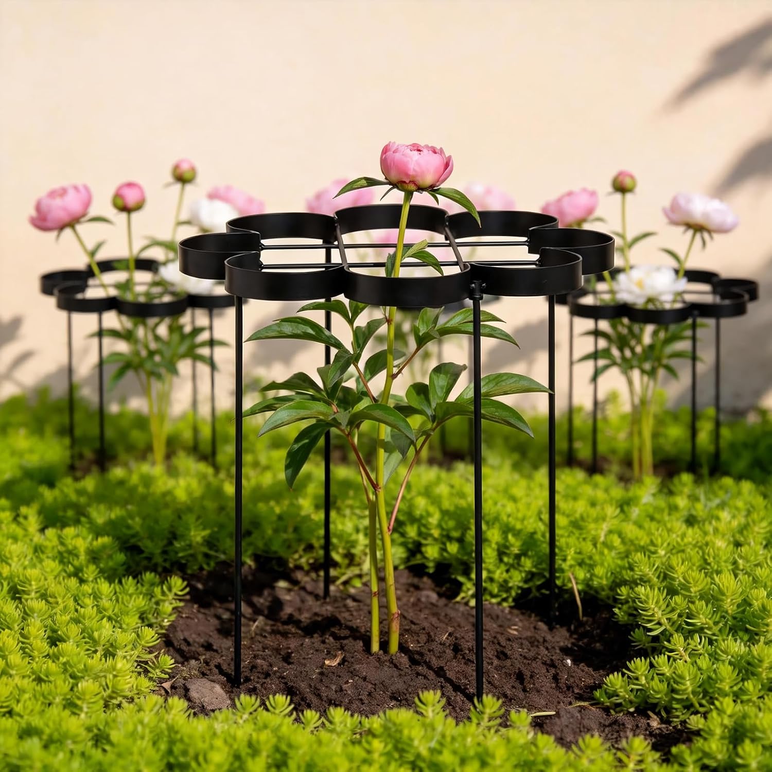 25" Peony Cages and Supports Elegant Modern Flower Support Stakes | Elegant Plant Support Ring for Peonies & Dahlias