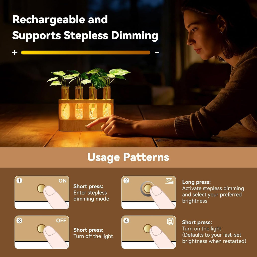 Rechargeable Plant Propagation Station with Stepless Dimming Lights | Wooden Stand, 4 Glass Test Tubes, Home Decor for
