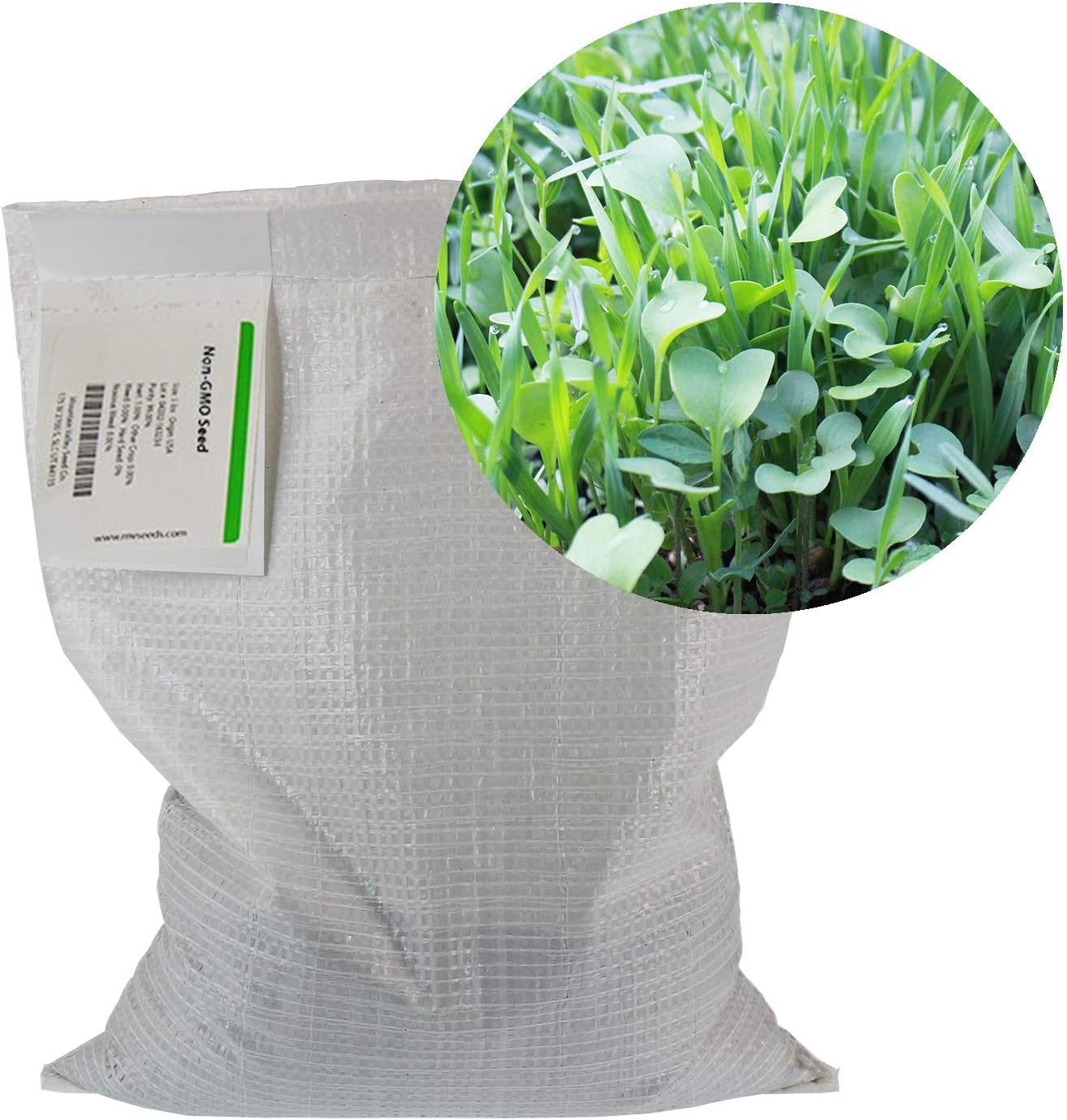 Mountain Valley Seed Co No-Till Garden Farm and Garden Cover Crop Mix Seeds | 5 Lbs - Blend of Gardening Cover Crop