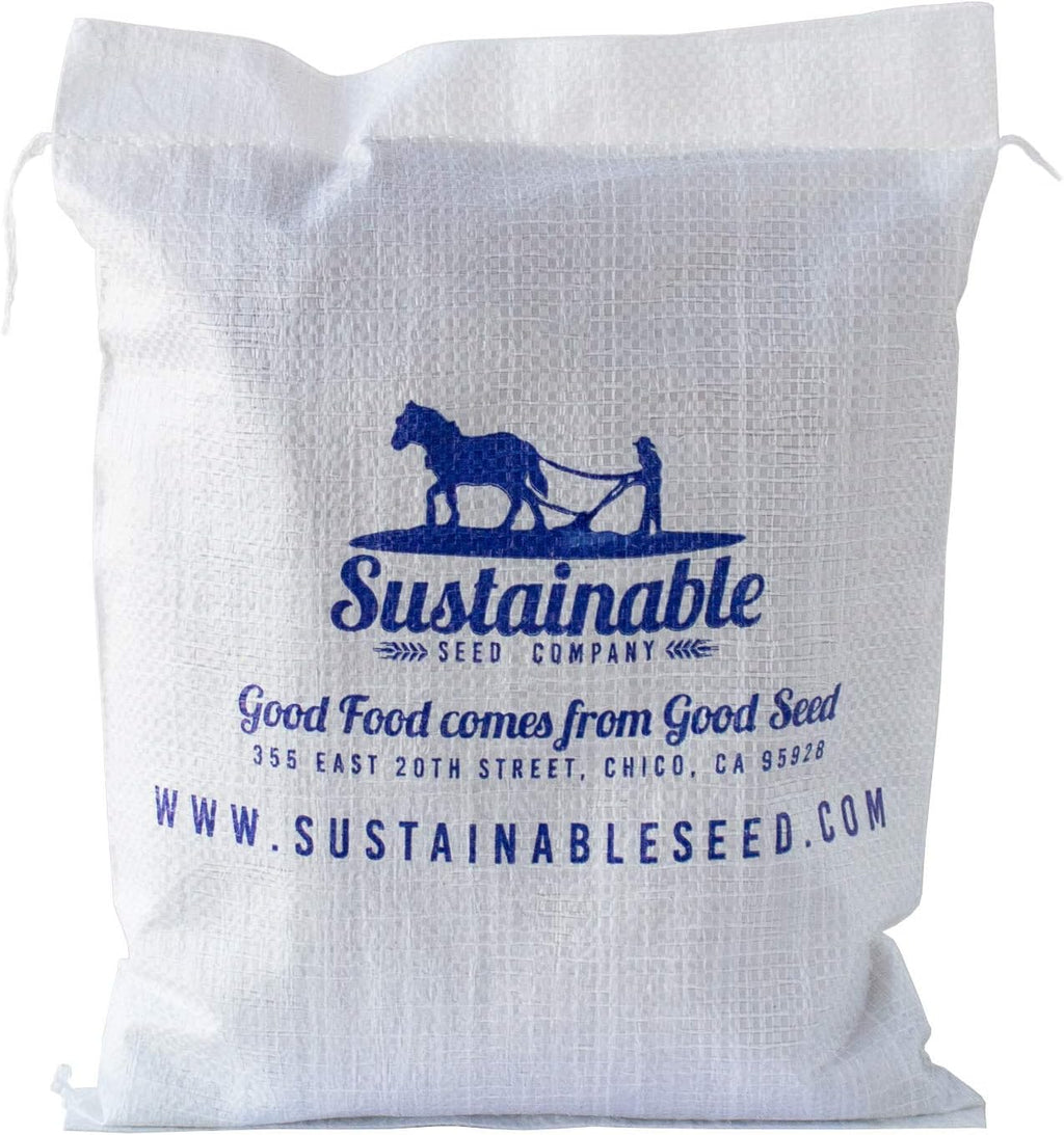 Sustainable Seed Co Fordhook 242 Bush Lima Bean 5 LB Bulk ~2,240 Seeds | Heirloom, Open Pollinated, Non-GMO, Farm &