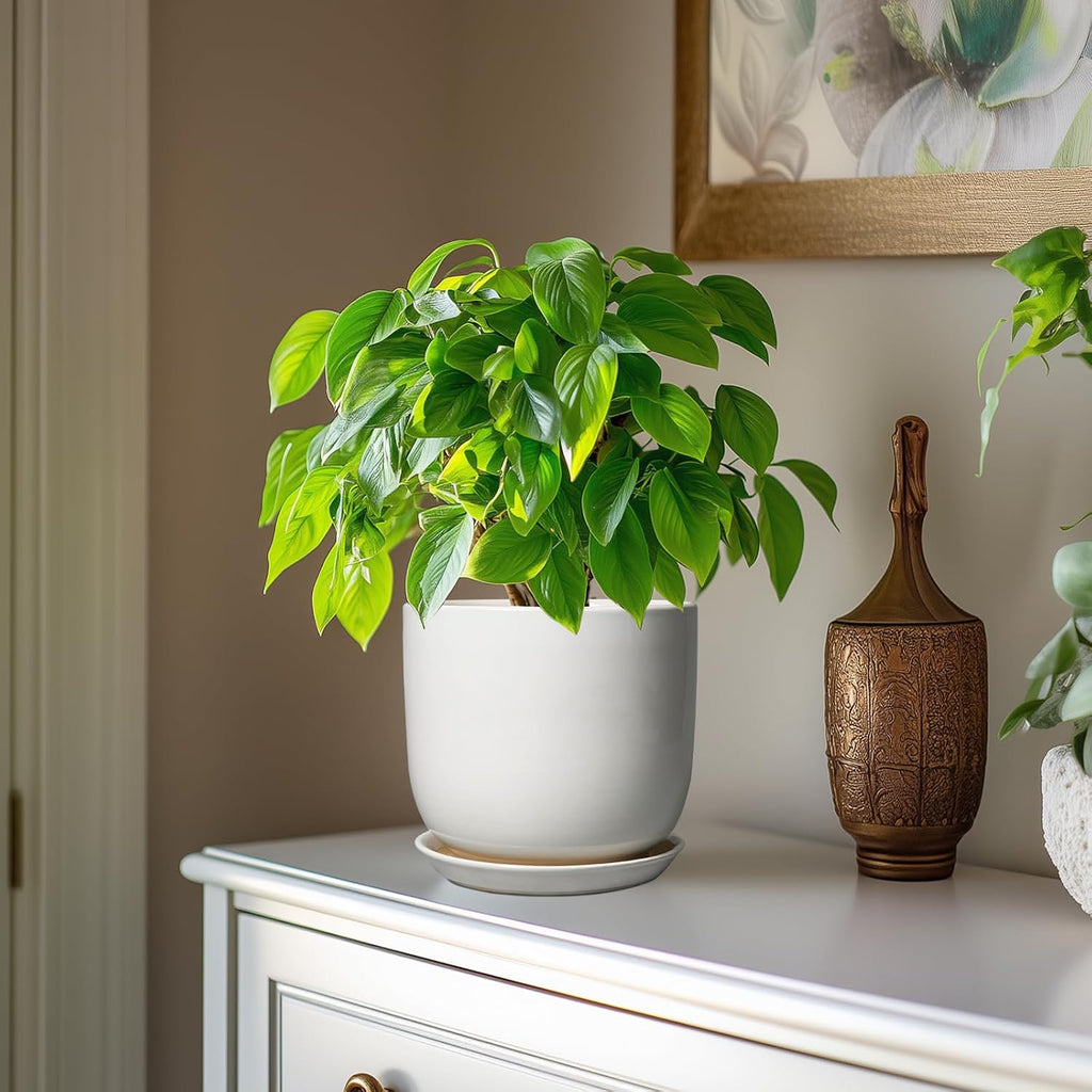 Ceramic Pot for Plants 7 Inch - Modern Round Indoor Outdoor Planter with Drainage Hole and Saucer, Home House Office