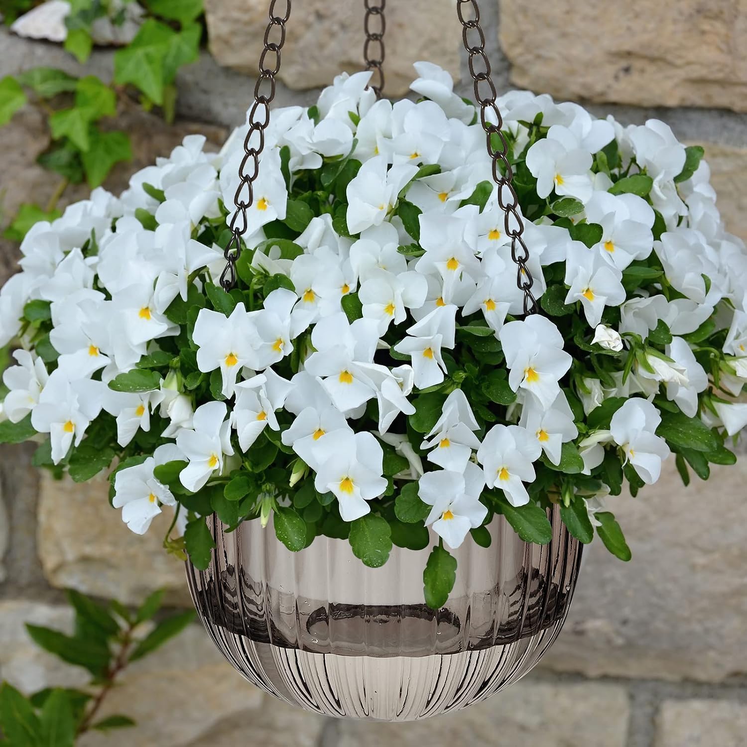 4 Pcs Self Watering Hanging Planter Indoor 6.5 Inch Hanging Baskets for Plants Outdoor Plastic Flower Pot with 3 Hooks