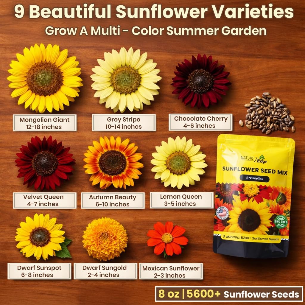 NatureZ Edge 5200+ Sunflower Seeds for Planting Bulk Variety Pack, Get More Sunflower Seeds to Plant, from Dwarf