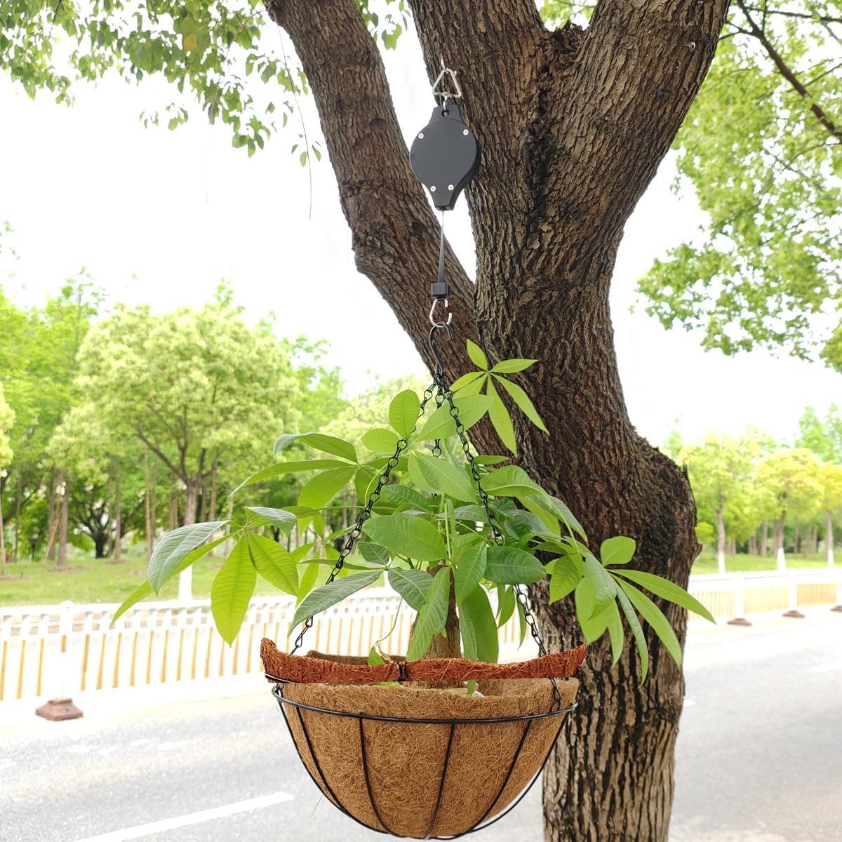 TIHOOD 6PCS Plant Pulley Hanger with 6 PCS Metal Ceiling Plant Hooks, Retractable Plant Hook Pulley, Adjustable Heavy