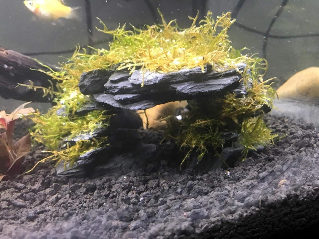 Voulosimi Natural Slate Rocks PH Neutral Stone Perfect Rocks for Aquariums, Landscaping Model,Tank Decoration,Amphibian