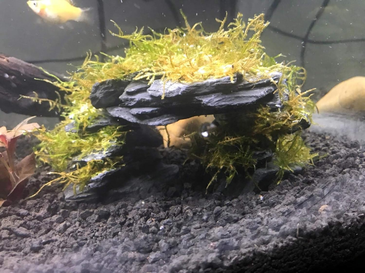 Voulosimi Natural Slate Rocks PH Neutral Stone Perfect Rocks for Aquariums, Landscaping Model,Tank Decoration,Amphibian
