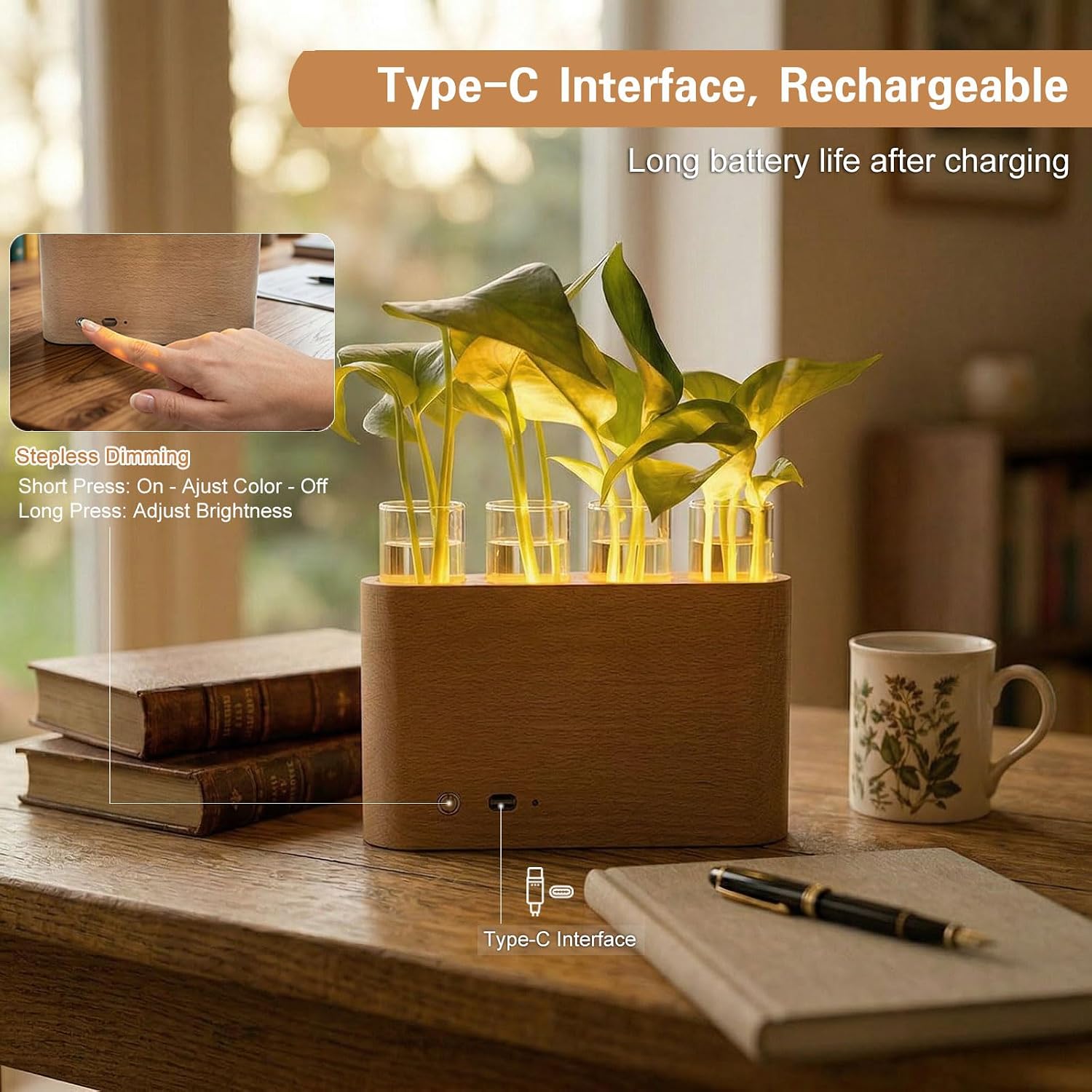 Plant Propagation Station with LED Grow Light, Rechargeable Wooden Desktop Planter Terrarium with 4 Glass Test Tubes