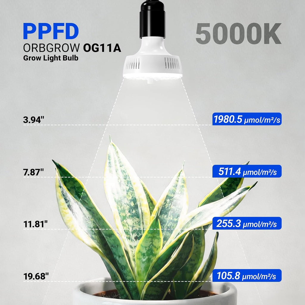 Barrina Orbgrow OG11A2 Clip On Grow Light for Indoor Plants, 5000K 22W | Integrated Stepless Dimming & Timing, Full
