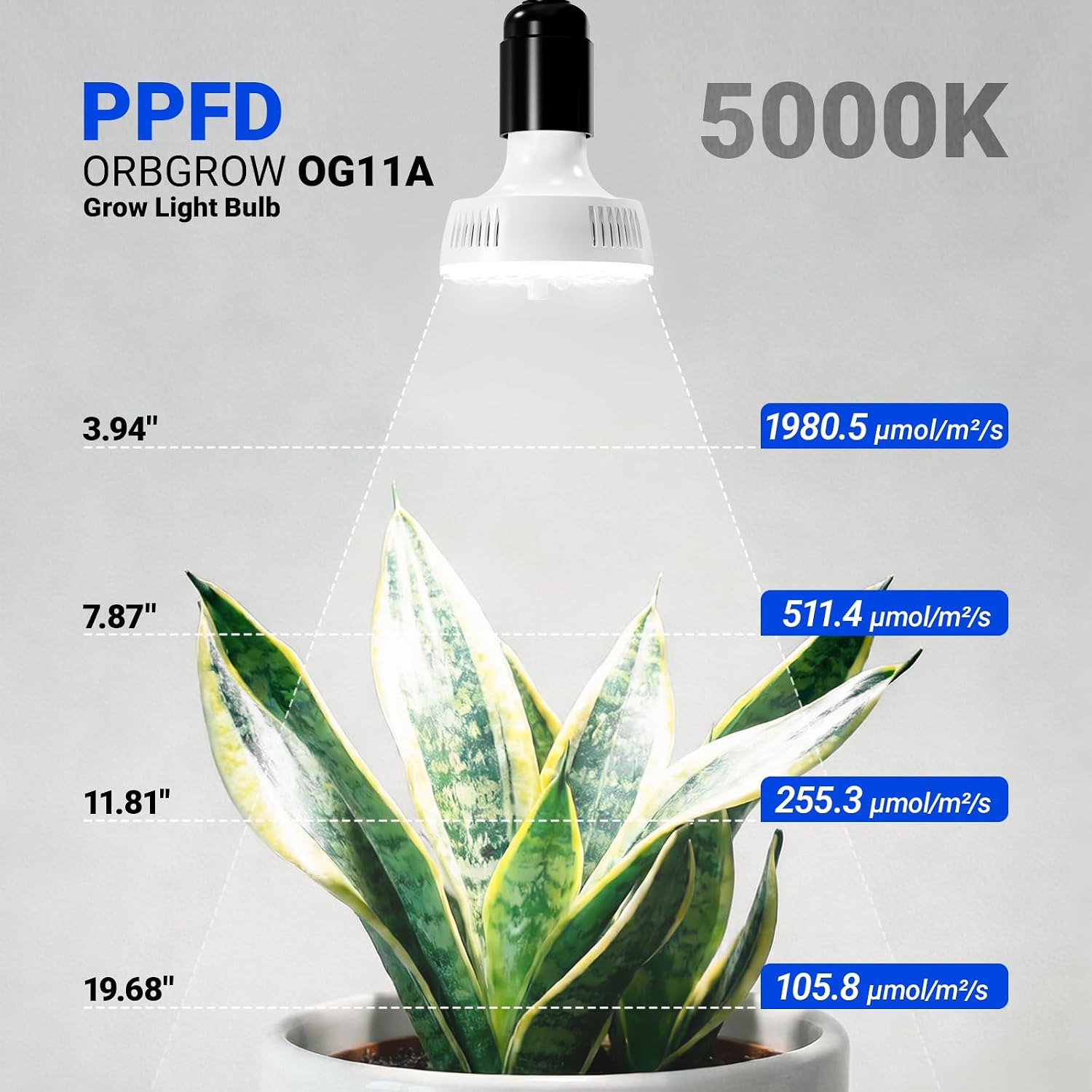 Barrina Orbgrow OG11A2 Clip On Grow Light for Indoor Plants, 5000K 22W | Integrated Stepless Dimming & Timing, Full
