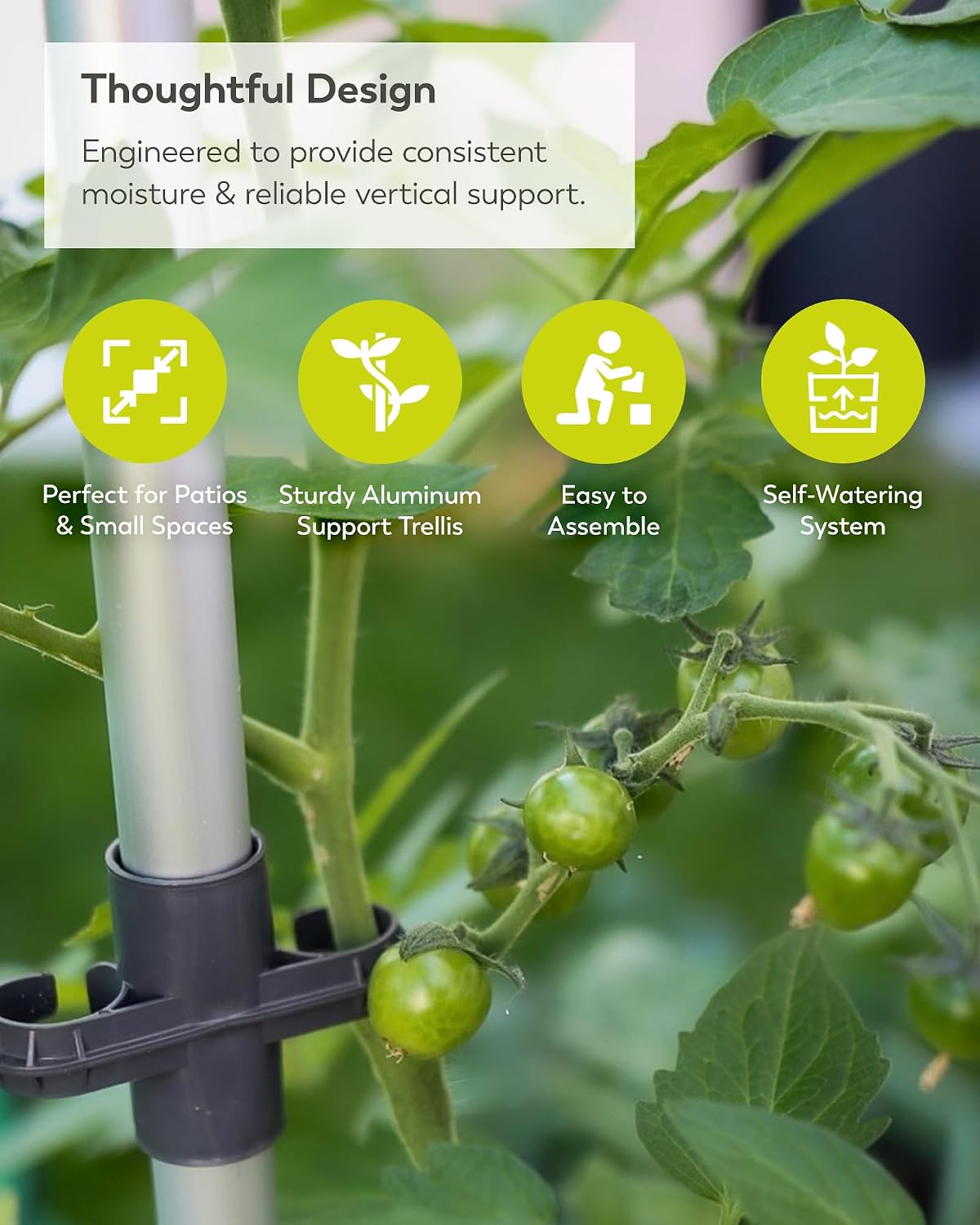 BUZZY Seeds Self-Watering Vertical Tomato Planter, Trellis, 1.2 Gal, Gray | Self-watering vertical planter with