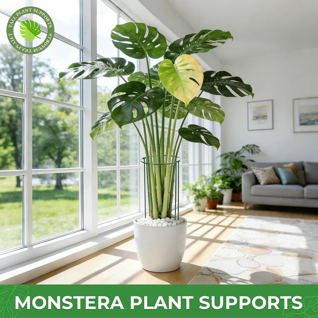 LEOBRO Plant Support Plant Stakes, 12pcs Peony Cages and Supports, Metal Garden Stakes Plant Supports, Plant Support