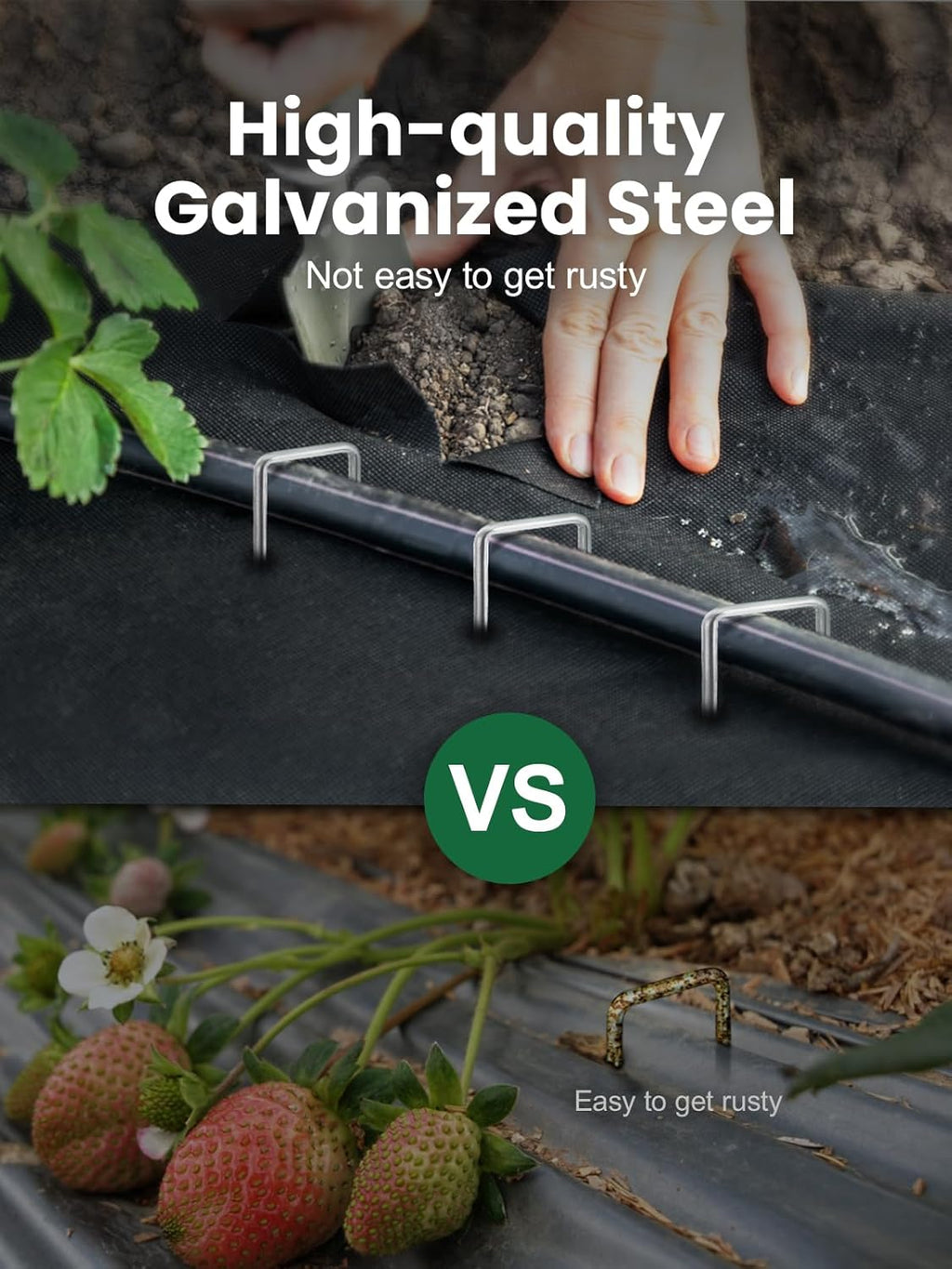 GROWNEER Landscape Staples 6 Inch, 500 Pack 11 Gauge Ground Stakes, Galvanized Steel Garden Spikes Bulk Pack for Large