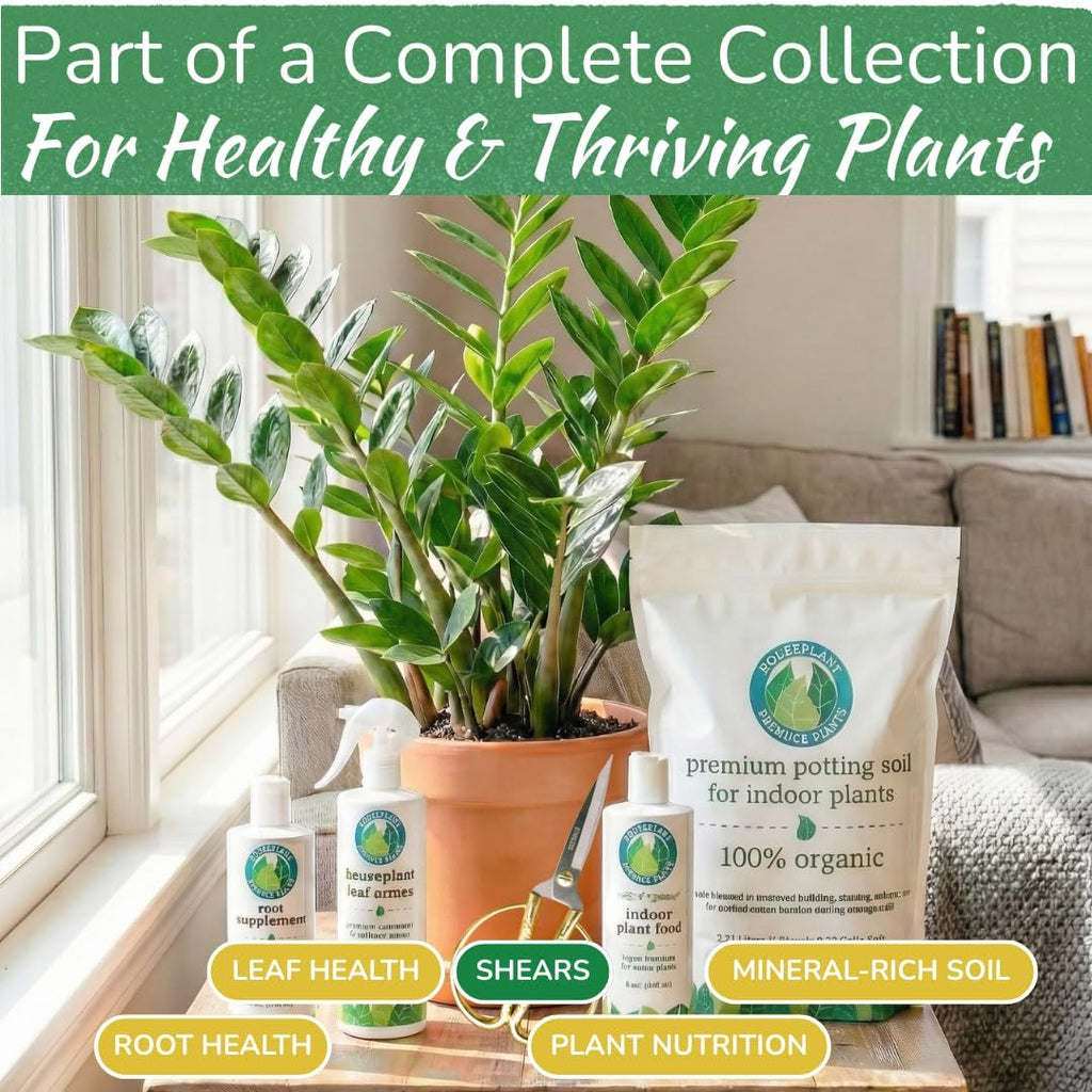 Houseplant Pruning Shears, Stainless Steel Scissors for Trimming & Notching