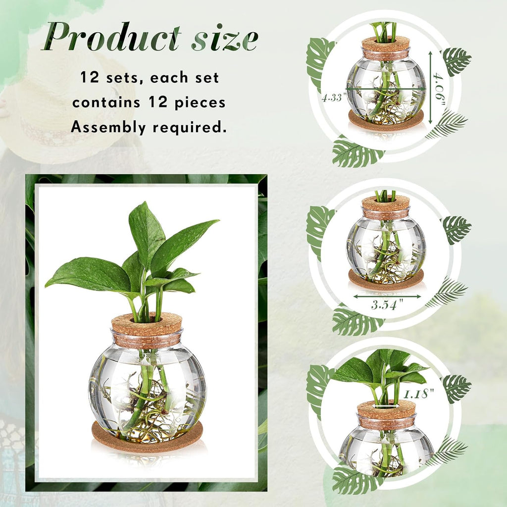 12 Packs Propagation Vases for Plants Plastic Plant Propagation Station with Hole Lid and Cork Coasters Plant Growing