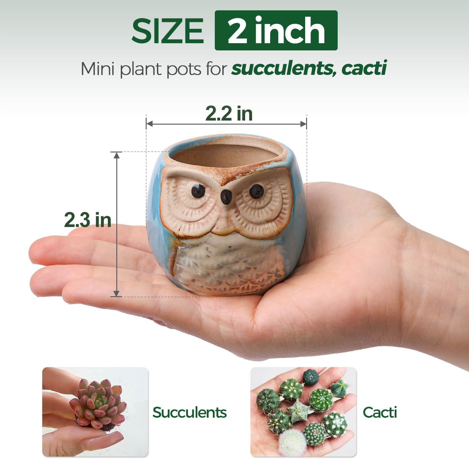 T4U Owl Succulent Pots, Mini Ceramic Gift Planter Set with Drainage 12 Pack | Cute owl design containers, for live
