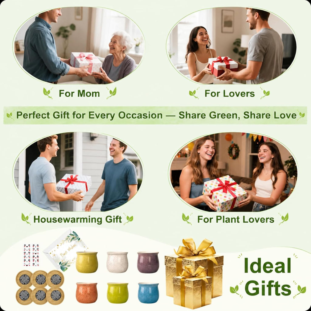 6-Pack 3 Inch Ceramic Succulent Pots with Bamboo Tray for Home Decor | Includes decorative stickers and cards creating