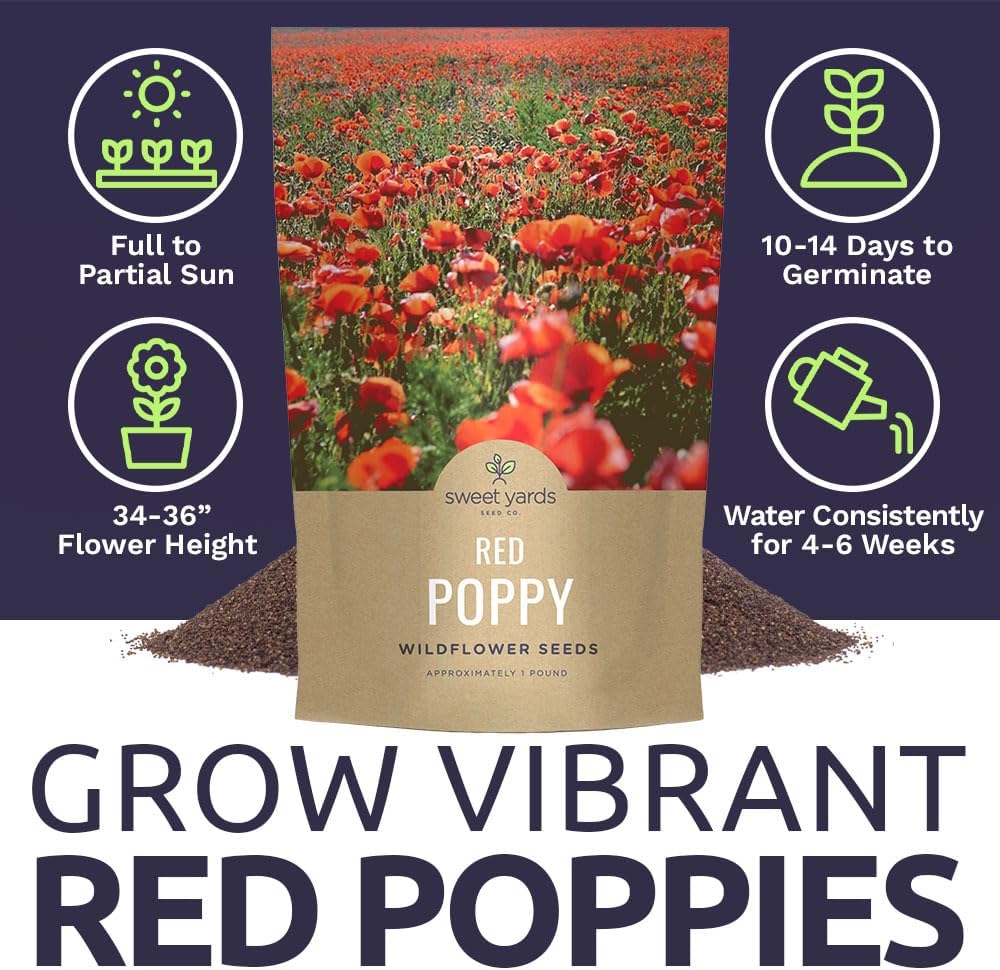 Red Poppy Seeds for Planting - Bulk 1 Pound Bag - Over 3,200,000 Wildflower Seeds