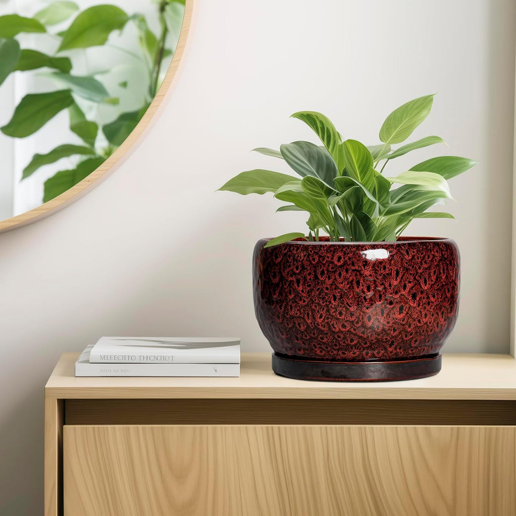 SQOWL Ceramic Flower Pots - 10 Inch Plant Pot Indoor, Ceramic Planter with Drainage Hole and Saucer, Round Decorative