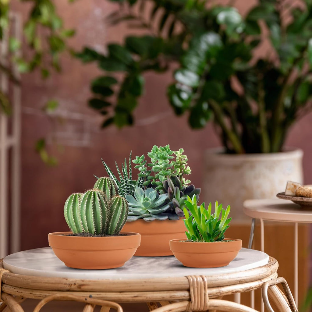Laerjin Terracotta Pots with Drainage Holes, Large 2 Pack, 8.66 Inch | Ideal for gardeners growing cactus, succulents