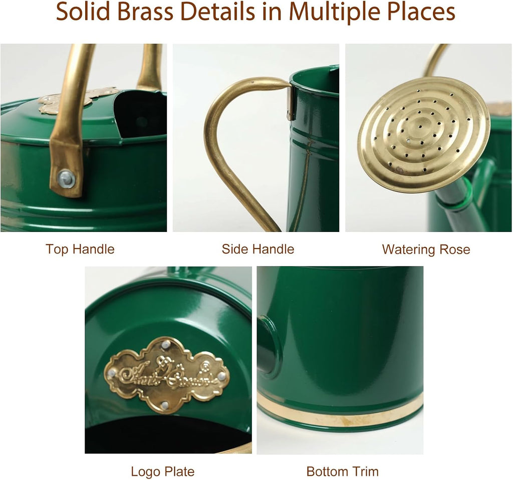 1 Gallon Green Metal Watering Can with Solid Brass Accents | Solid brass top and side handles, removable watering rose