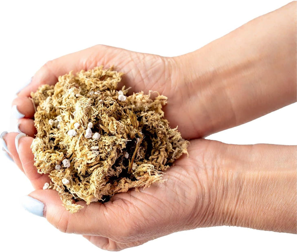 Sphagnum Moss Potting Mix for Carnivorous Plants, Moss and Perlite Blend for Potting Venus Fly Traps, Sarracenia