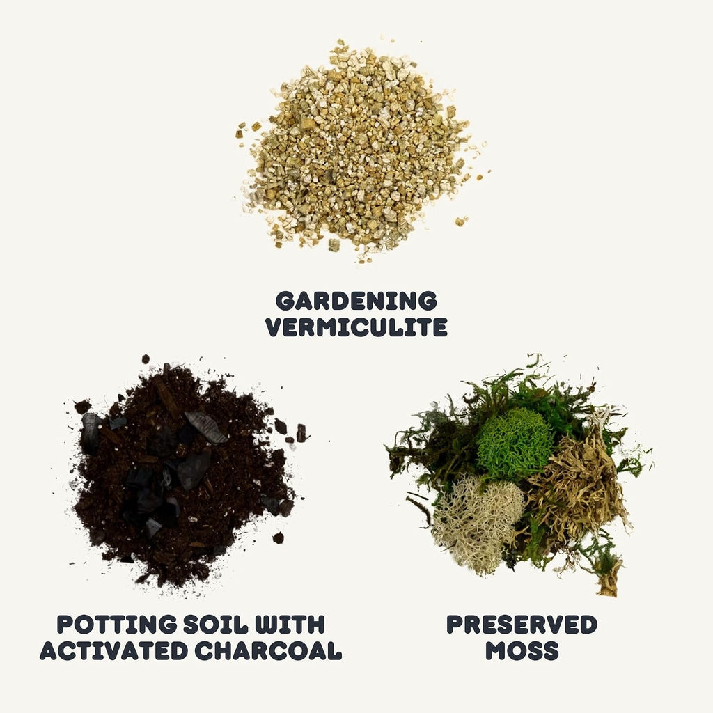 Terrarium Starter Kit | Moss, Vermiculite, Soil, Pebbles, Plant Food, Finishing Tools, Build and Care Guide | DIY