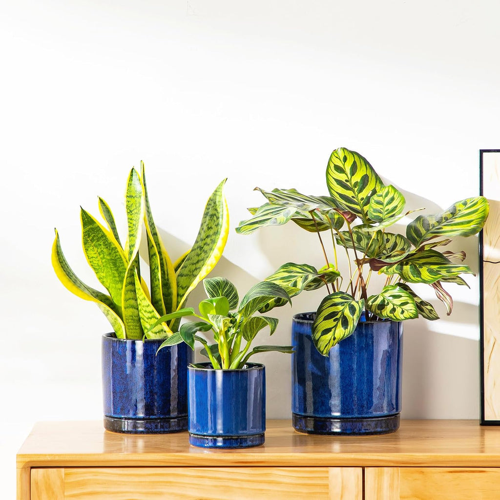 vancasso Ceramic Plant Pots, 3 Piece Planters for Indoor Plants, Blue | 4.25+5.25+6.25 Inch Flower Pots with Drainage