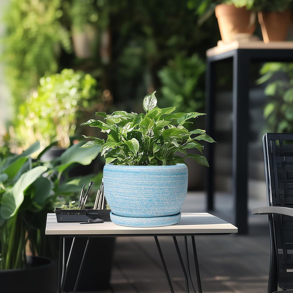 SQOWL Ceramic Planter - 8 inch Pot for Plants Indoor Outdoor, Modern Ceramic Flower Pot with Drainage Hole and Saucer