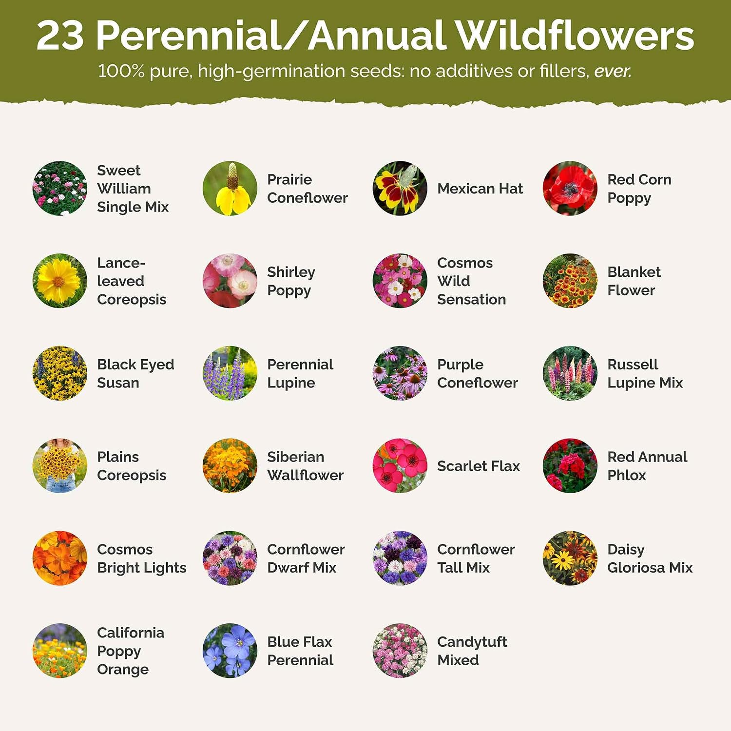 Eden Brothers Midwest Wildflower Mixed Seeds for Planting, 10 lb | 4,800,000+ Seeds with Cornflower, Candytuft, Mexican