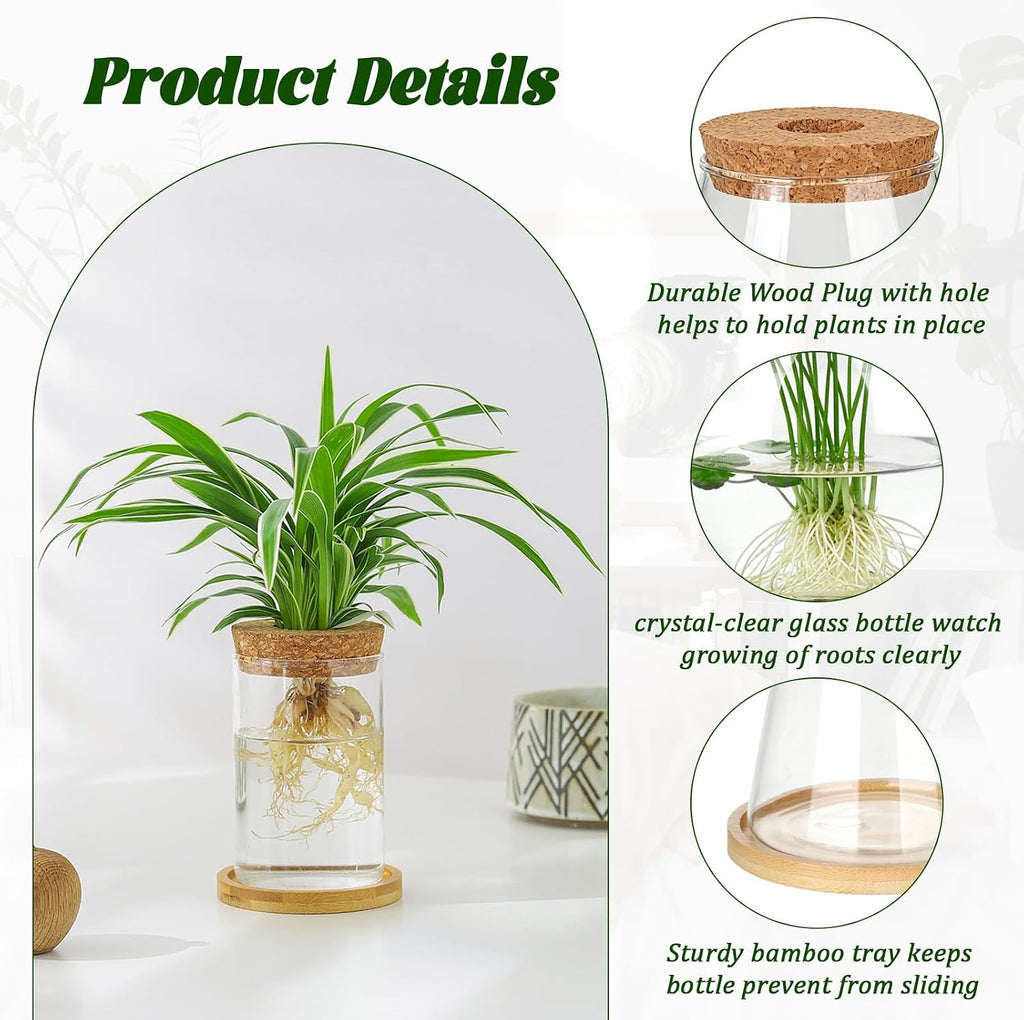 6 Pcs Plants Propagation Stations Glass Planter Terrariums with Wooden Lid and Bamboo Stand Desktop Propagation Vases