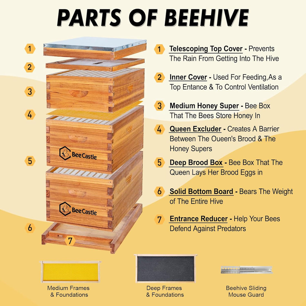 BeeCastle 10 Frame Langstroth Bee Hive Coated with Beeswax Includes Beehive Frames and Waxed Foundations (2 Deep Boxes