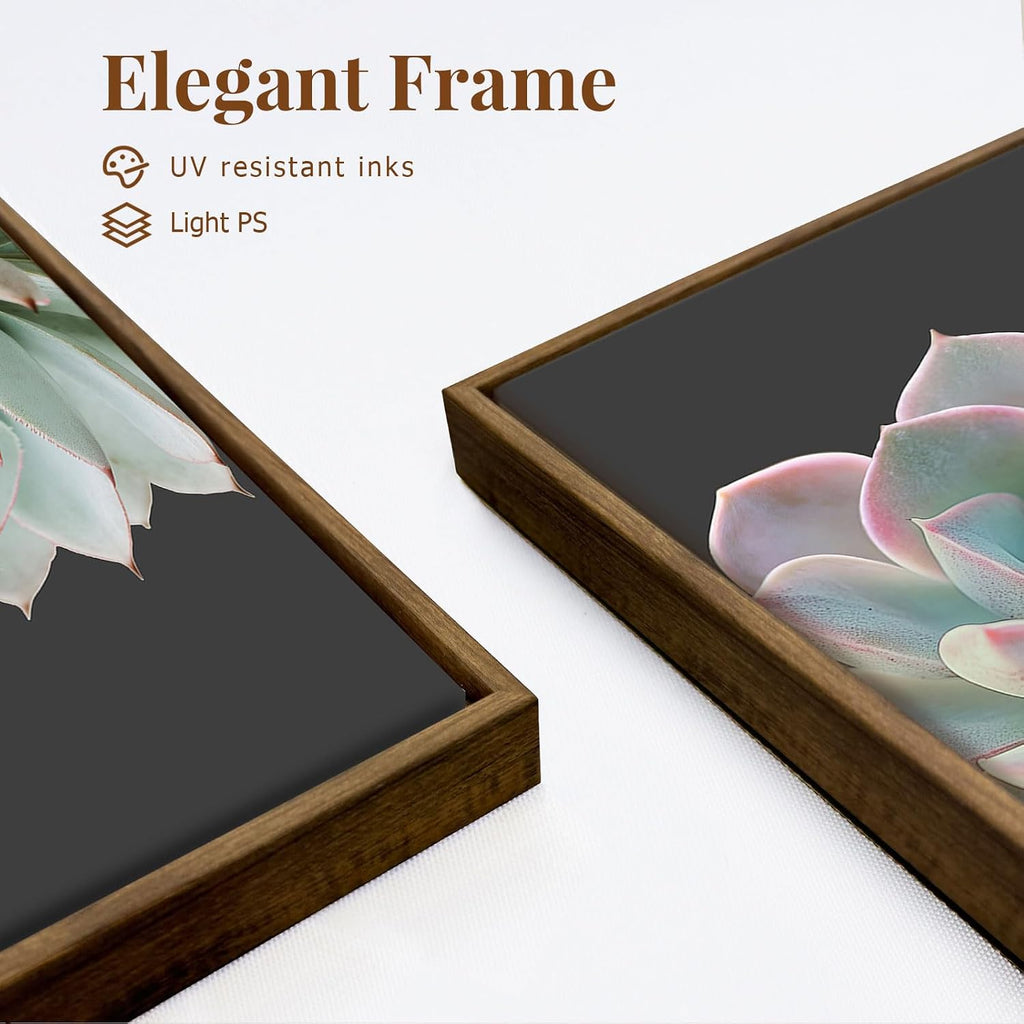 Zessonic Succulent Wall Art,Nature Plant Echeveria Wall Decor,12"x16"x3 | Nature Plant Echeveria Cactus Wall