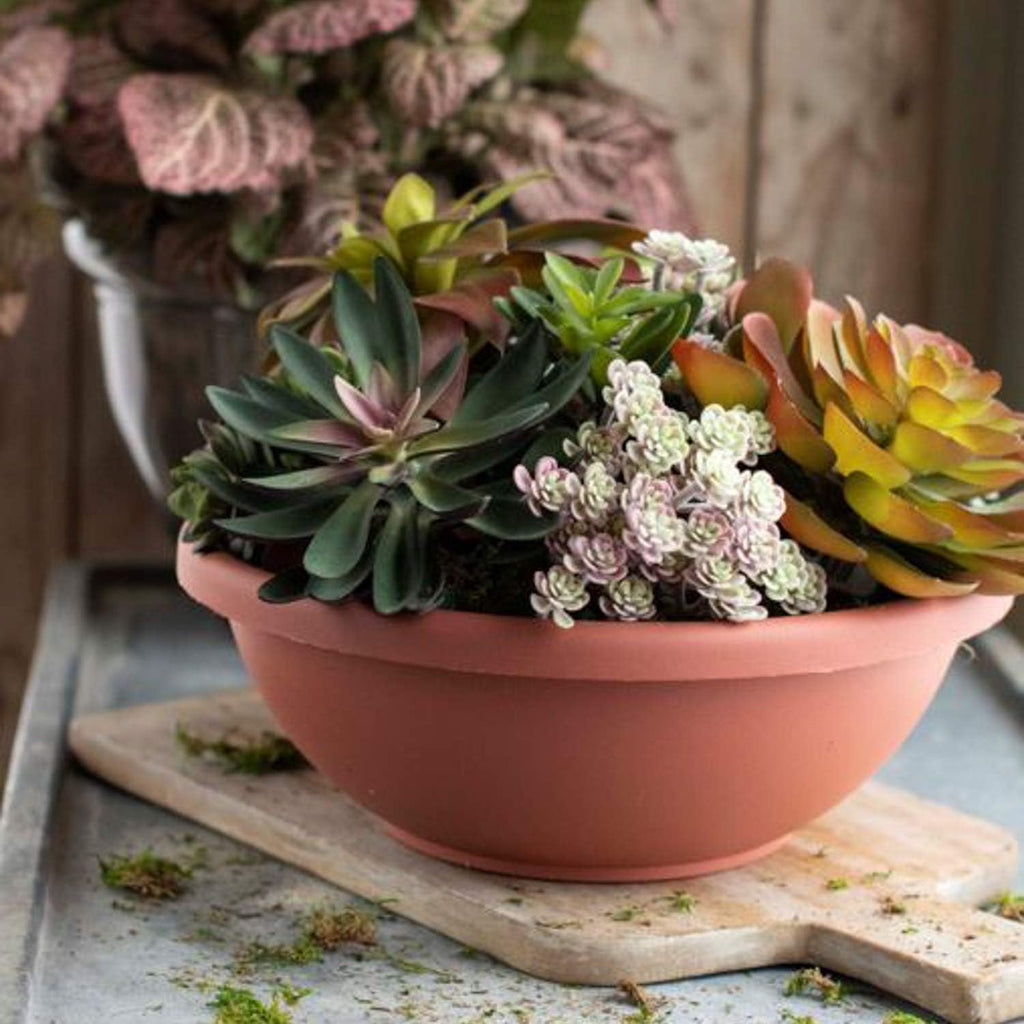 The HC Companies Shallow Planter with Drainage - Contemporary Garden Bowl Planter for Flowers, Herbs & More - Round