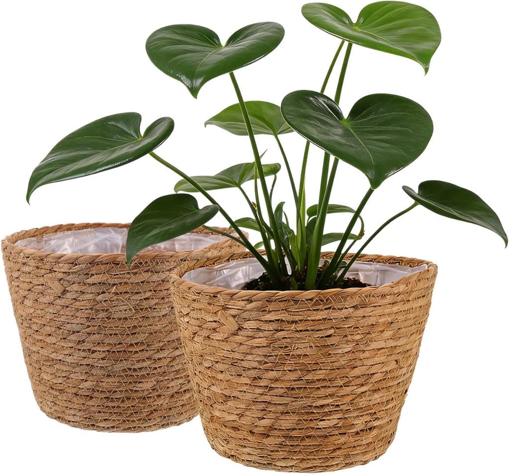2PCS Seagrass Plant Basket for Indoor and Outdoor,Wicker Planter Basket with Liner for 6 inch Pot,Indoor Plant Pot