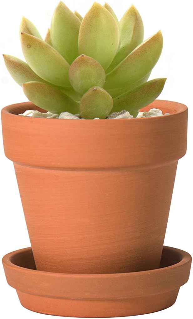 D'vine Dev 18-Pack Terracotta Plant Pots with Saucers, 3 in, 588-A-1-3 | High-Temperature Fired, Unglazed Terracotta