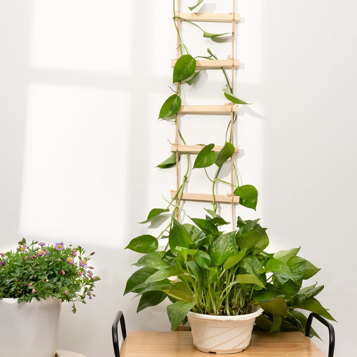 2pcs Plant Ladder Indoor Climb Plants Hanging Wooden Trellis Vine Support | Chain Trellis for Potted Plants Easy