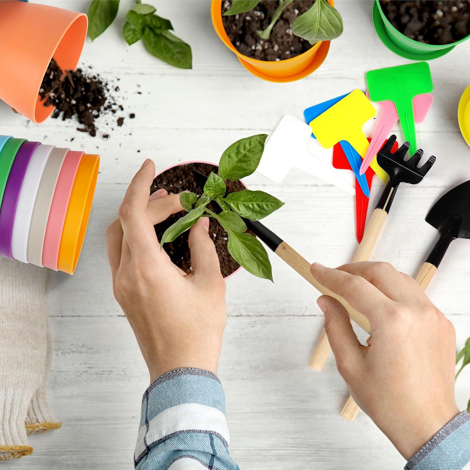 Hahood 60 Pieces Plastic Planters 4 Inch Flower Pot with Trays Labels Multicolor Flower Plant Pots Plants Nursery Pots