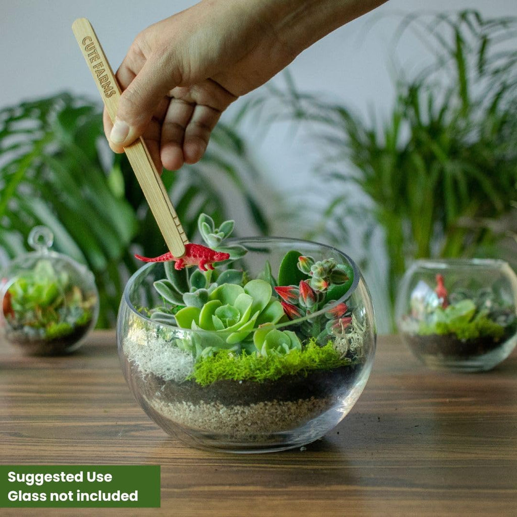 Cute Farms Terrarium Starter Kit | Moss, Vermiculite, Soil, Pebbles, Plant Food, & Finishing Tools (Large + 8 Live