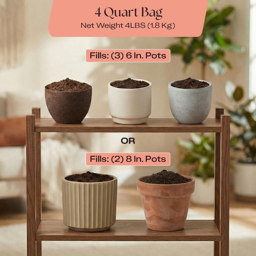 Rosy Soil Cactus and Succulent Potting Soil Mix (4 qts) + Indoor Potting Soil (8 qts) - Peat Free House Plant Soil
