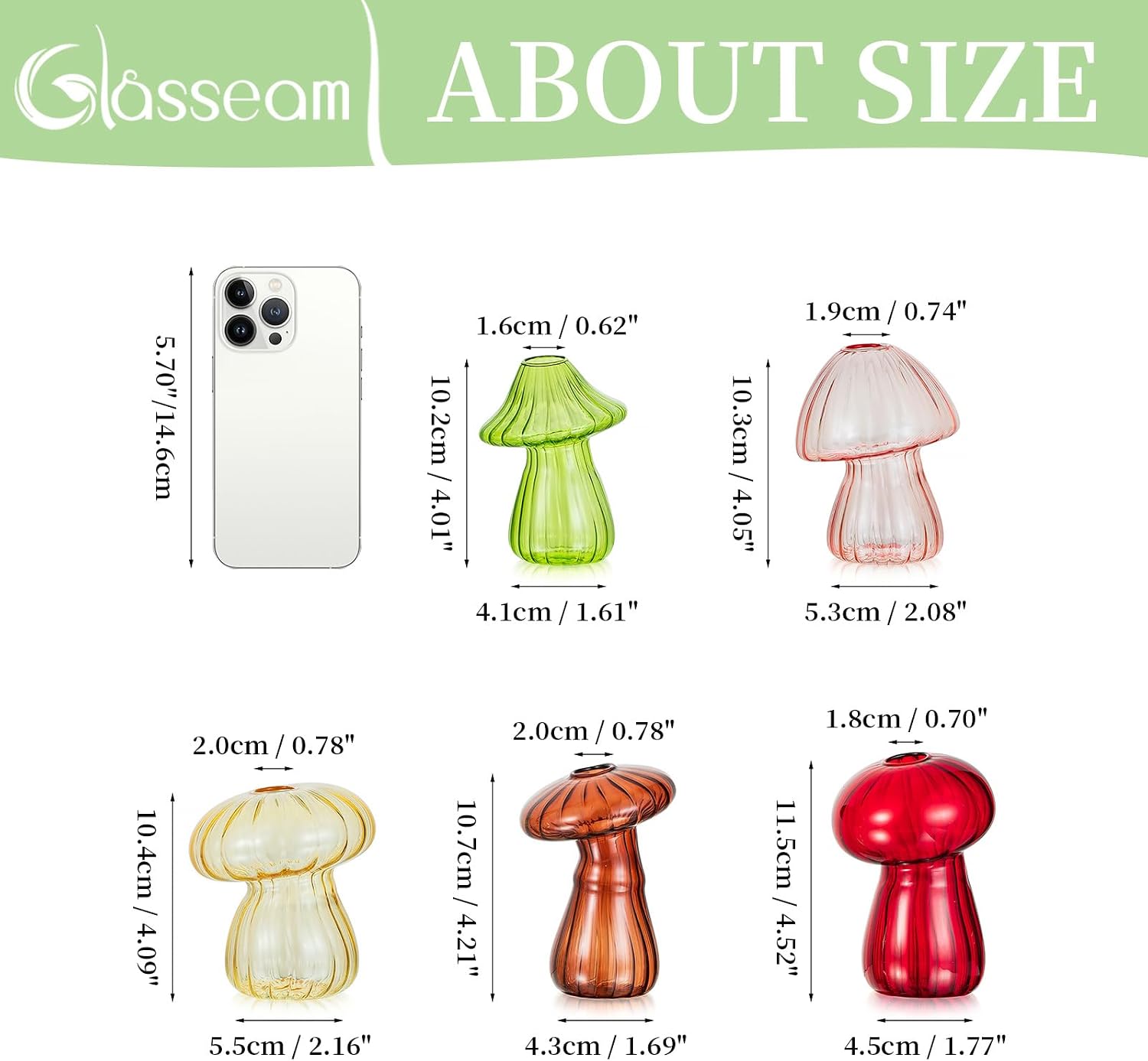 Glasseam Mushroom Plant Propagation Station, Set of 5 Glass Terrarium Jars | Colorful Handmade Small Hydroponic