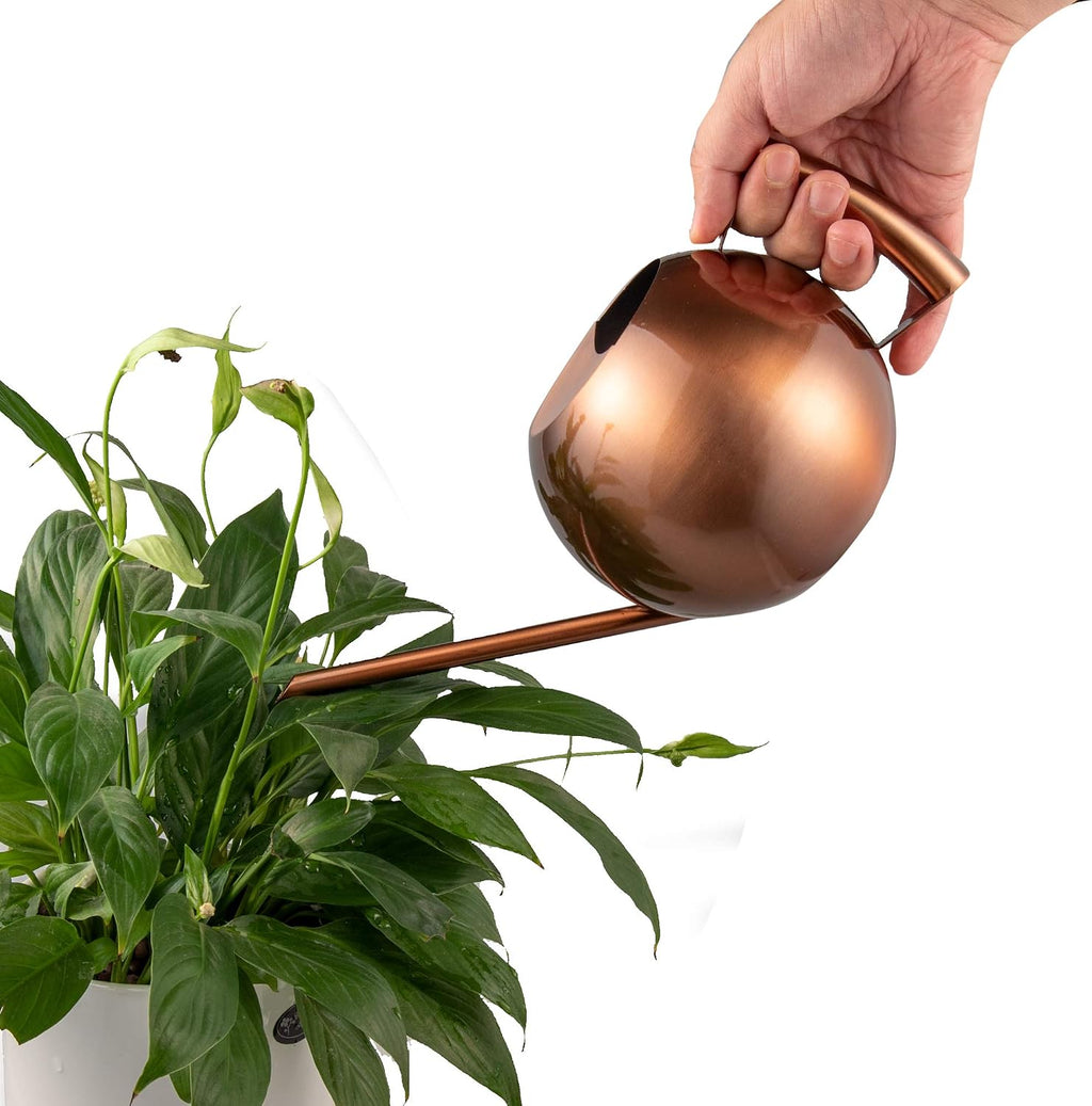 IMEEA 45oz/1.3Liter Metal Watering Cans for Indoor Plants Stainless Steel for Office Fish Bowl Shape (Copper Color)