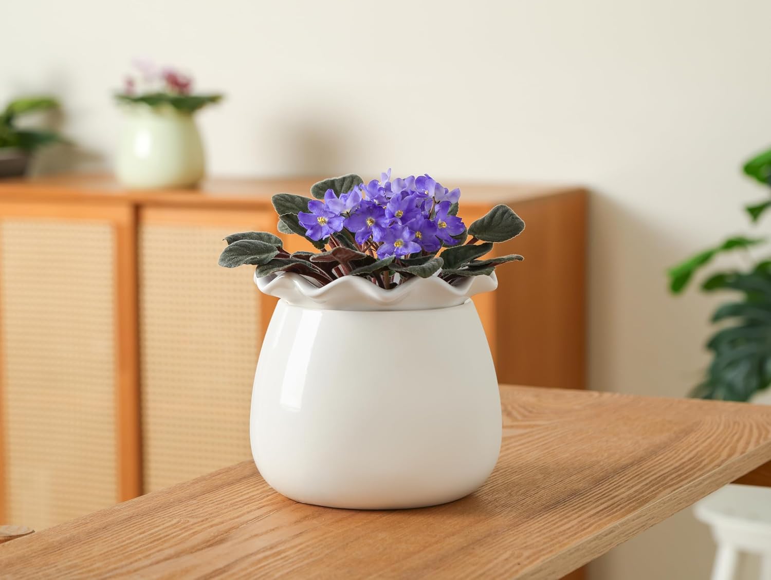 Fayoula Self Watering Plant Pot, 6 Inch African Violet Pots Maintenance, Ceramic Self-Watering Planter for Indoor