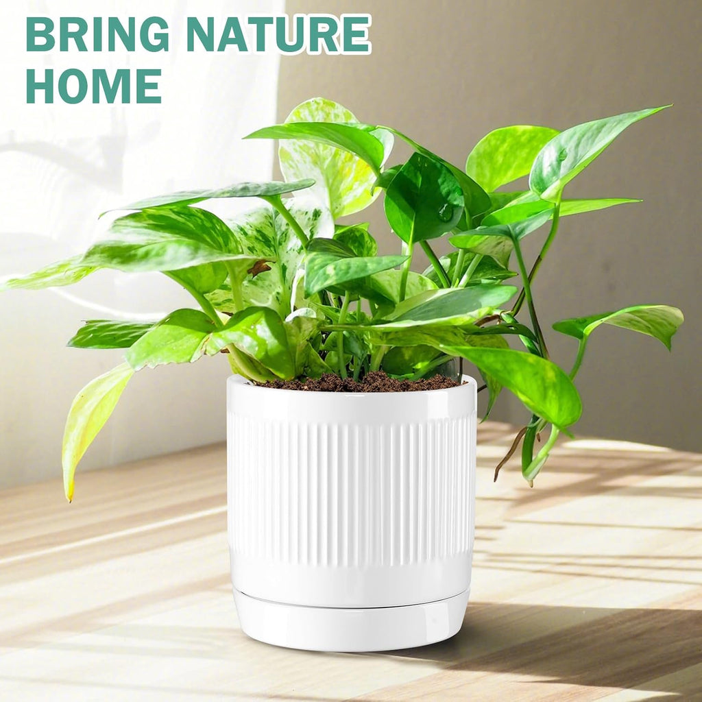 Vanavazon 6 Inch Glazed Ceramic Plant Pots with Drainage Hole and Saucer, Cylinder Indoor Planters for All House