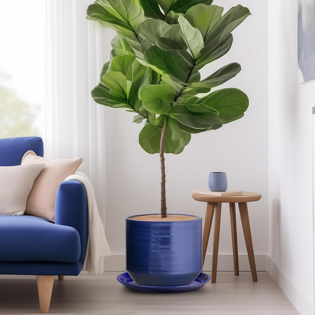 Plant Saucer for Outdoors - Ceramic Plant Saucer, 10 Inch Plant Trays for Indoors, Round Flower Pot Saucer, Large Plant