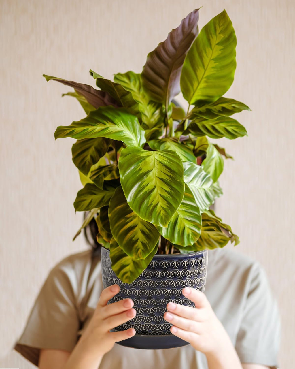 Plant Pots, Planters for Indoor Plants, Ceramic Plant Pots, 6.5+5.5 inch Plant Pot with Drainage and Saucer, Pots for