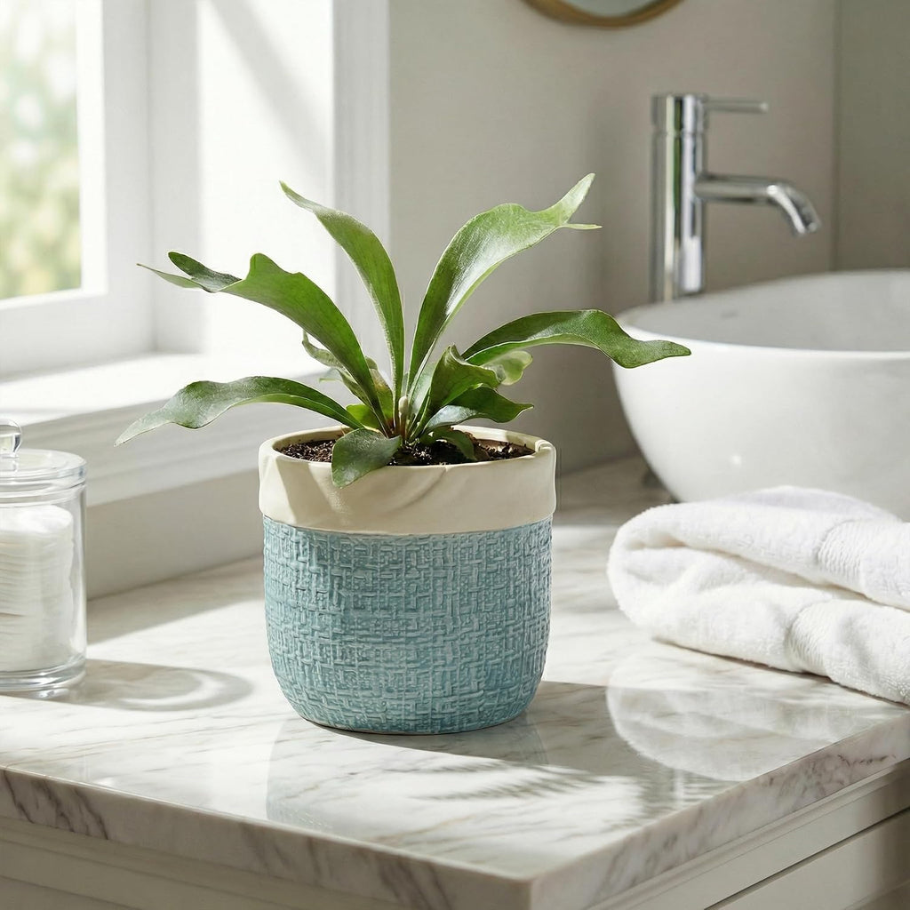 Ceramic Pots for Plants - 6 Inch Plant Pot for Indoor Succulent Plants, Round Planters with Drainage Hole, Decorative
