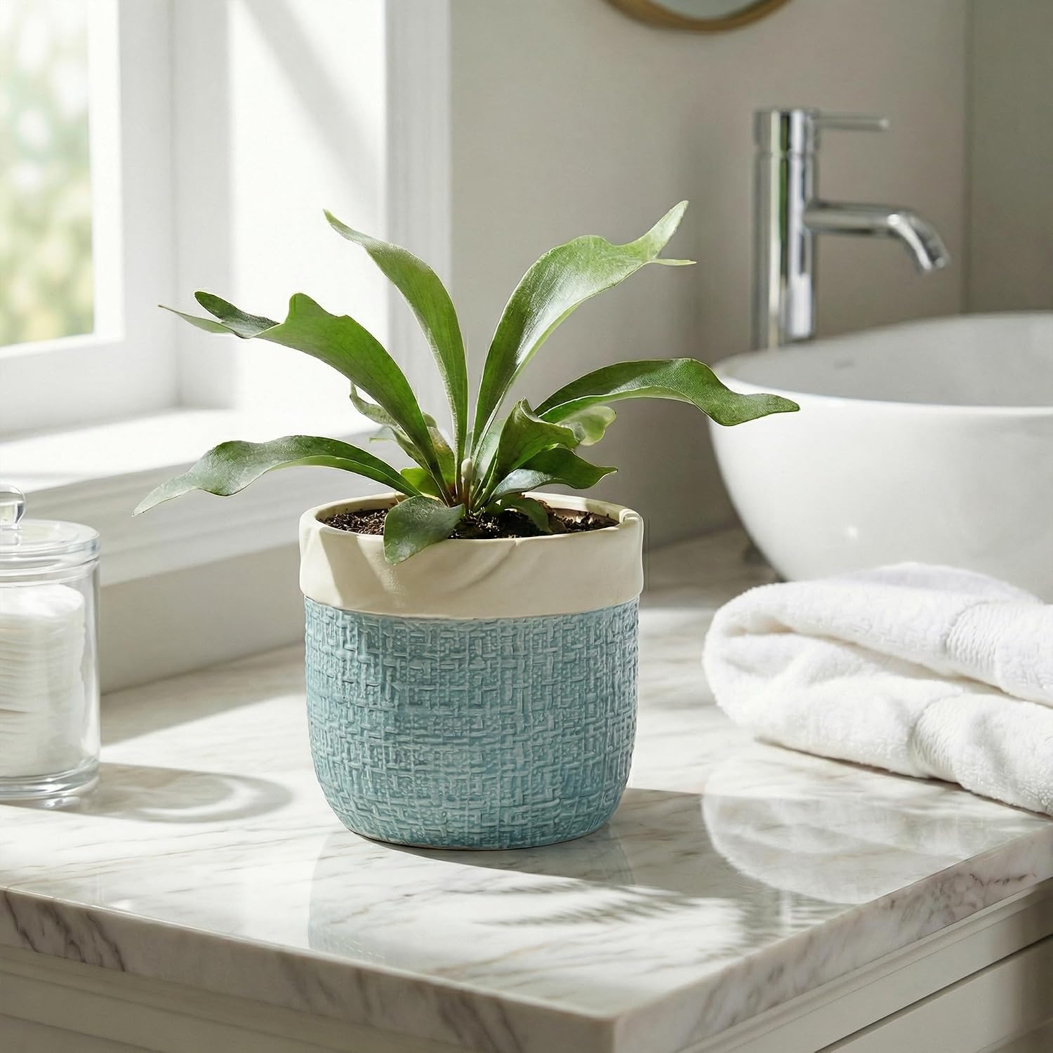 Ceramic Pots for Plants - 6 Inch Plant Pot for Indoor Succulent Plants, Round Planters with Drainage Hole, Decorative