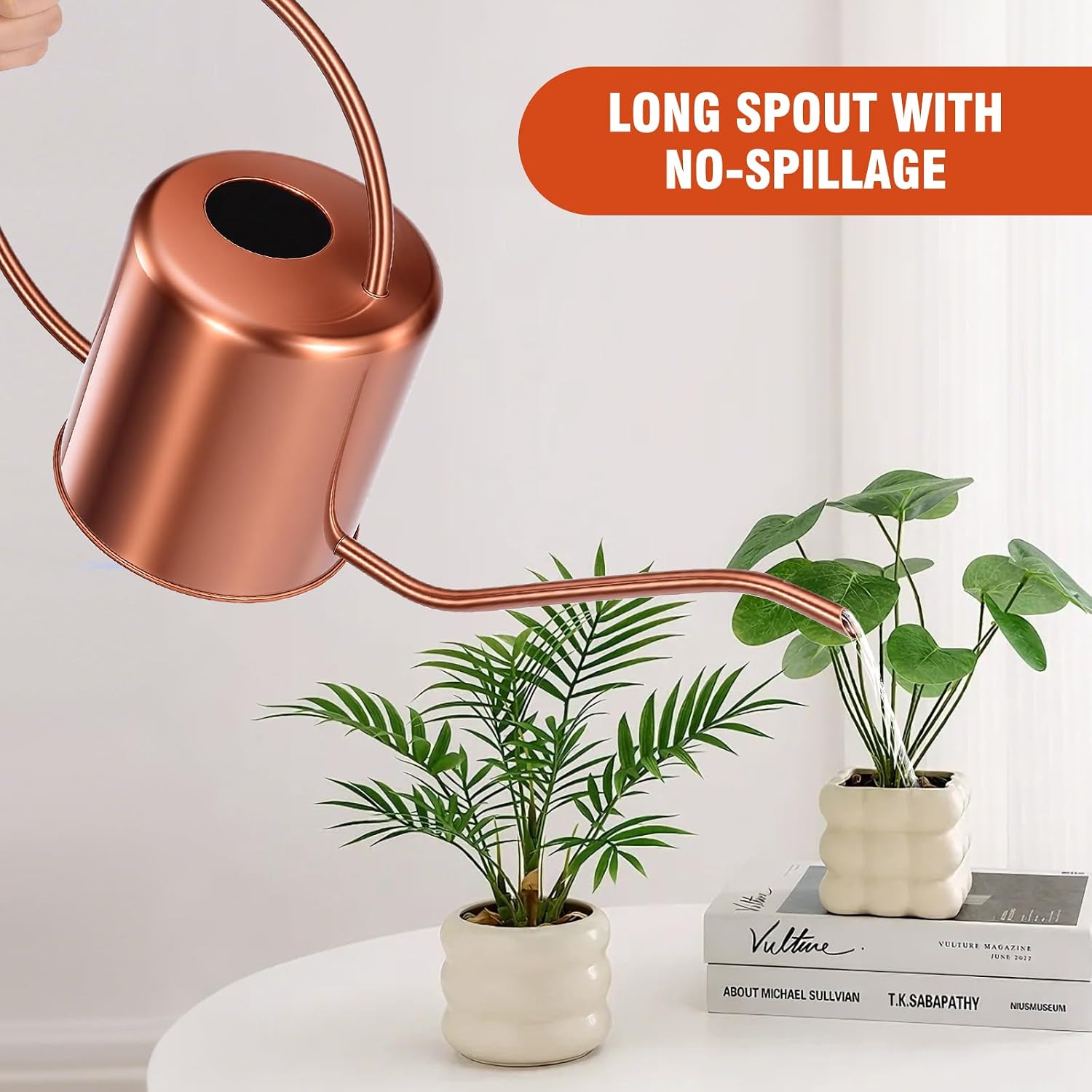 Plant Watering Can, 50 oz / 1500 ml Stainless Steel Metal - Modern Decorative with Long Spout for Indoor Potted Plants