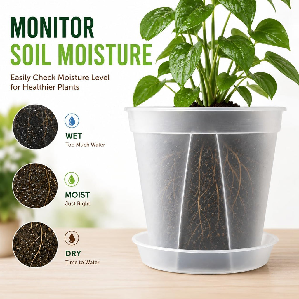 GREENPARA Clear Plant Nursery Pots with Saucer for Indoor & Outdoor Plants | 4/5/6/7/8 Inch Drainage Holes Root